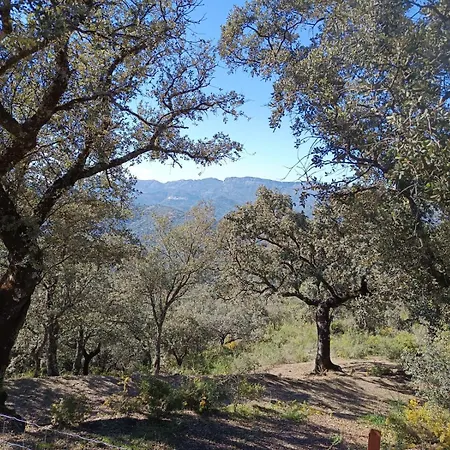 בקתה El Cerro *