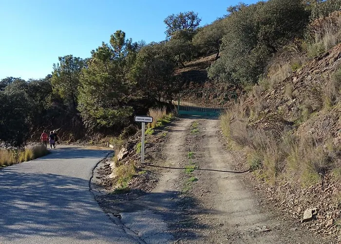 El Cerro *